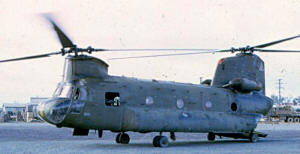 Chinook